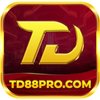 Avatar of td88