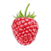 Avatar of gu1zatthv8