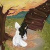 Avatar of lovelyddream