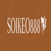 Avatar of soikeo888x