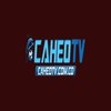 Avatar of CAHEOTV