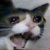 Avatar of LasagaGreen