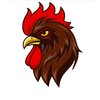 Avatar of Trực Tiếp C1