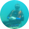 Avatar of mfaught