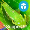 Avatar of SUPPPORT!