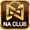 Avatar of NA99 org