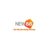 Avatar of new88vision