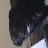Avatar of taylorjgebhart