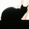 Avatar of Hubdoe