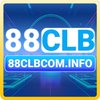 Avatar of 88clbcominfo