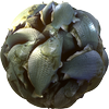 Avatar of Chris