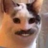 Avatar of Seth_971