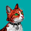 Avatar of matejlou