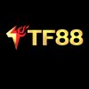 Avatar of TF88