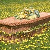 Avatar of The Natural Funeral Company