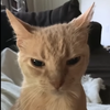 Avatar of Der_da