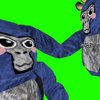 Avatar of low3.m4n