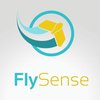 Avatar of Fly Sense