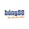 Avatar of Bong88 Cổng Game