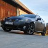 Avatar of trolas