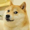 Avatar of VredmoonV