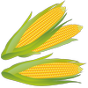 Avatar of bishalbo