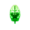 Avatar of AMIZORA