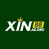 Avatar of xin88 aeorg