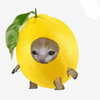 Avatar of lemongraass