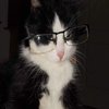 Avatar of Rckw3ll