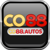 Avatar of co88autos