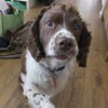 Avatar of norton079