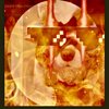 Avatar of andersj7777