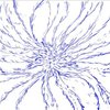 Avatar of SLAMJ_LGFM