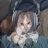 Avatar of styovX