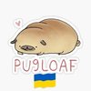 Avatar of puglooaf