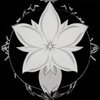 Avatar of FairestYapper