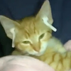 Avatar of UnrecordedRocket