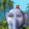 Avatar of zcreamw