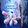 Avatar of Marketing Automation Services