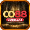 Avatar of co88lat
