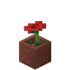 Avatar of sasabug45