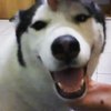 Avatar of paulwang416