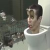 Avatar of DcToilet