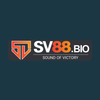 Avatar of SV88 Casino