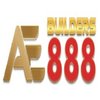 Avatar of ae888builders