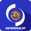Avatar of caothusoicauvip