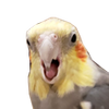Avatar of m37850