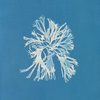 Avatar of elisa