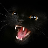Avatar of ItsDracoLove